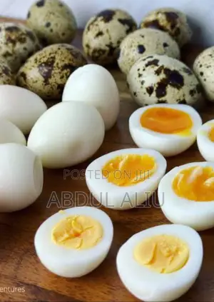 Quail Eggs Are Immunity Boosters