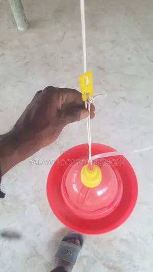 Bell Drinker