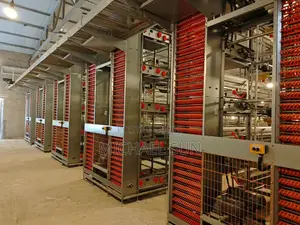 Poultry Cages