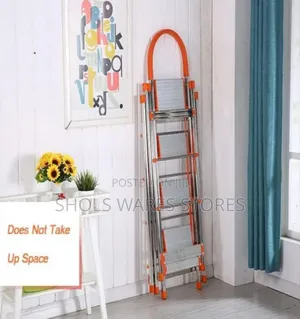 Stainless Steel Ladder and Clothes Hanger