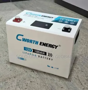 100ah Cworth Lithium Ion Batteries