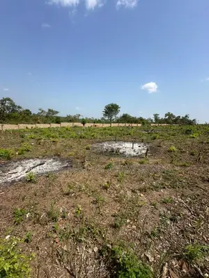 Farmland, Palm Estate for Investment With a Cofo
