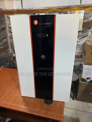 All Felicity Lithium Battery. The Only Importer of All Felicity Items