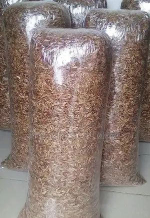 Oron Crayfish