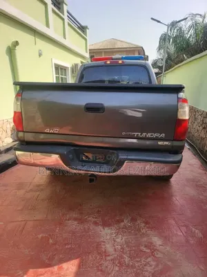 Toyota Tundra 2008 Gray
