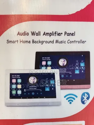 Walk Mount Amplifier