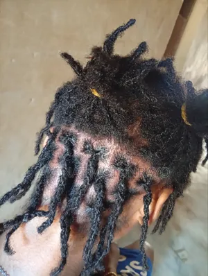 Professional Hair Stylist