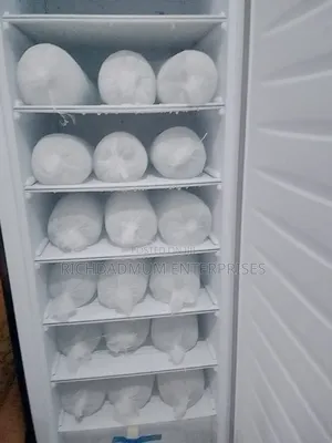 Hf180bs R6 Standing Freezer