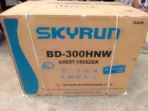 Skyrun 4feet Freezer 1year Warranty Low Voltage