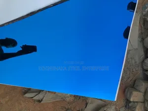 Stainless Plates
