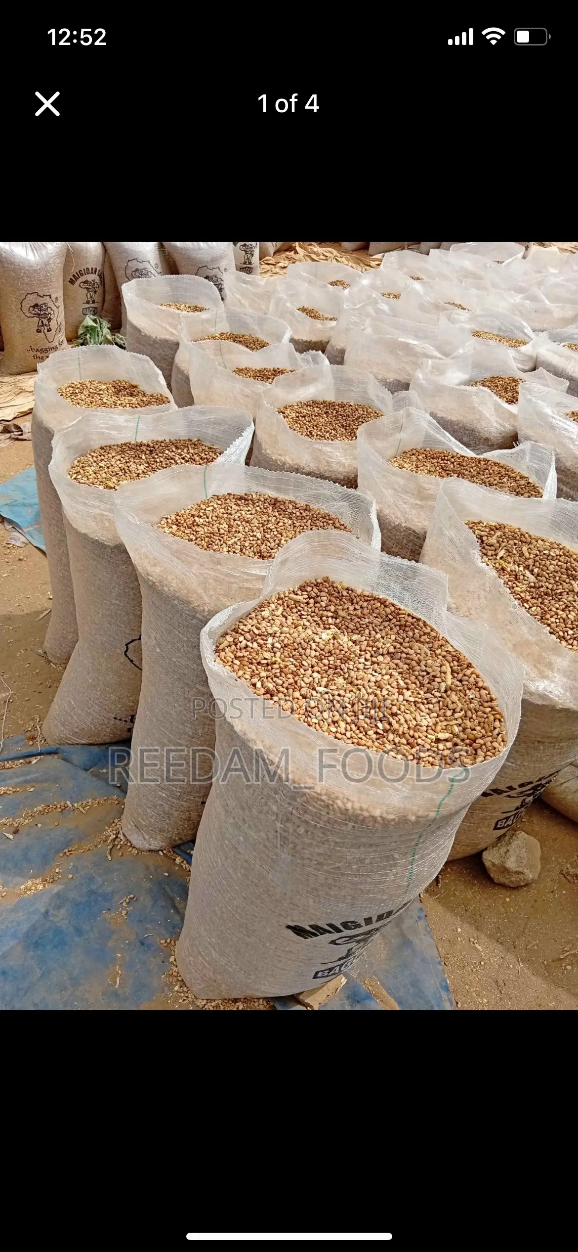 Oloyin Beans