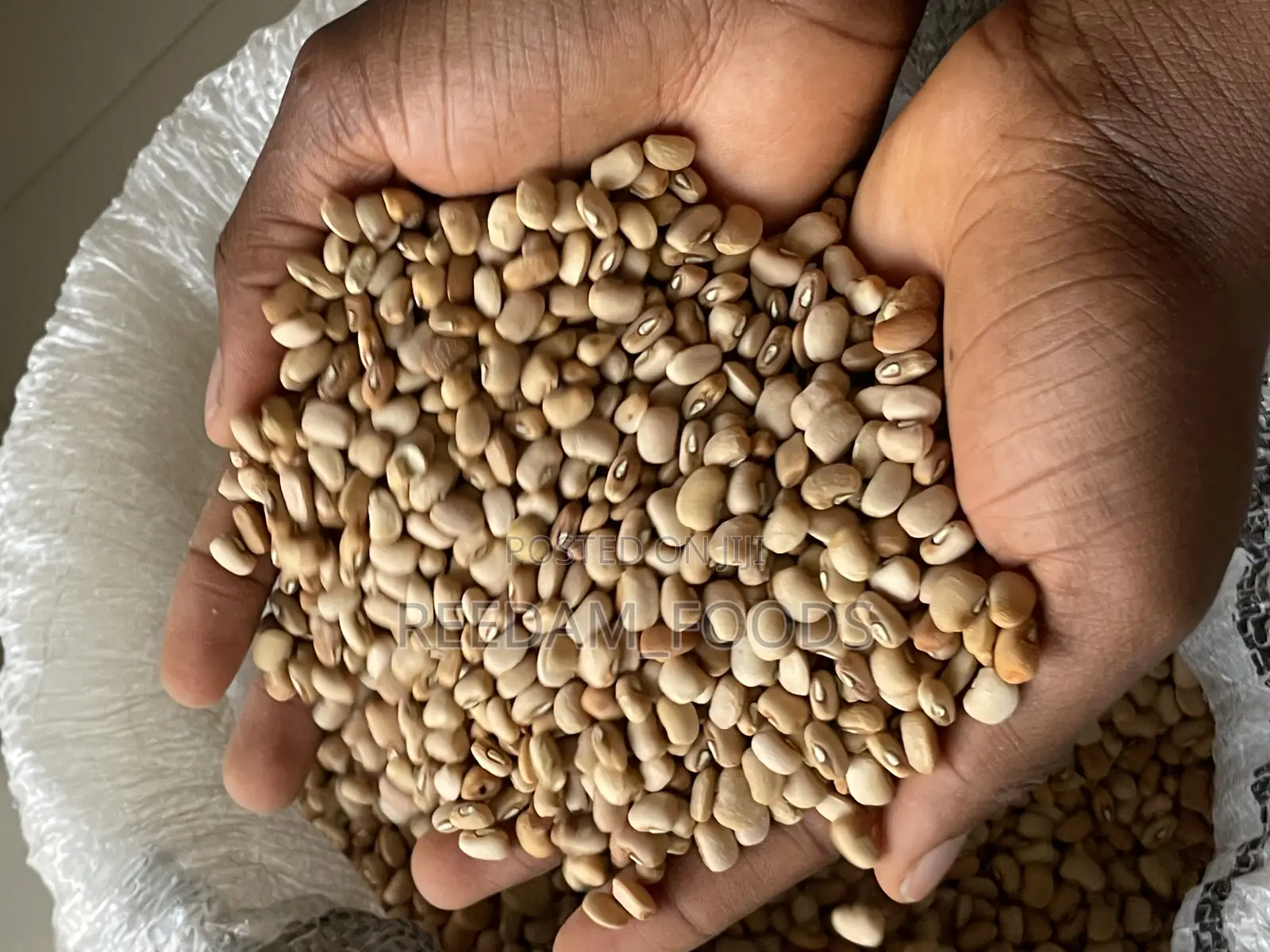 Oloyin Beans