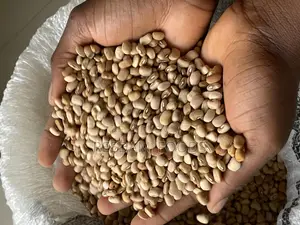 Oloyin Beans