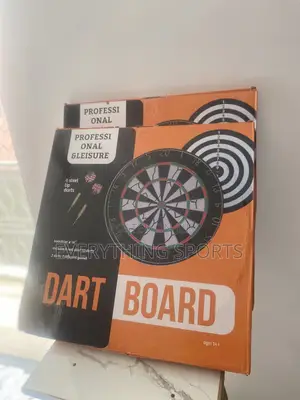 Professional Dart Board