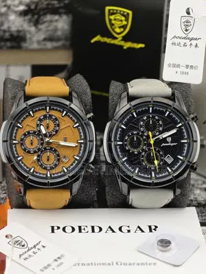 Poedagar Luxury Leather Watch
