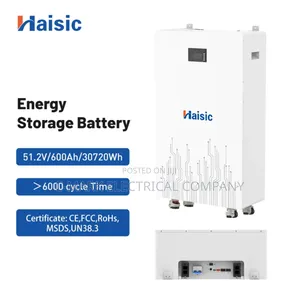 Original Haisic Battery 4kwh,8kwh,15kwh,9kwh Touch Screen Energy 51.2v