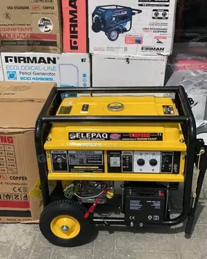 Sv22000e2 Elepaq Constant Copper Wire Generators