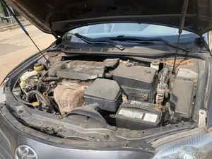 Toyota Camry LE 4dr Sedan (2.4L 4cyl 5A) 2009 Gray