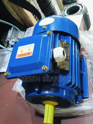 Electric Motor