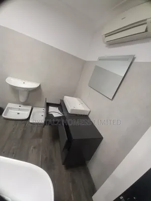 Geberit Water Closet With the Mirror