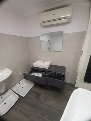Geberit Water Closet With the Mirror