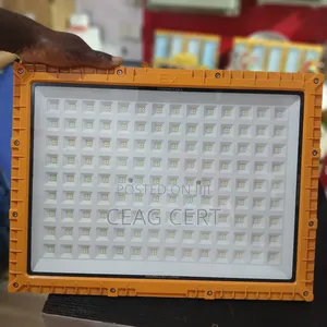 1000w Explosion Proof Light