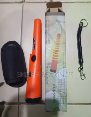 Gold/Metal Detector