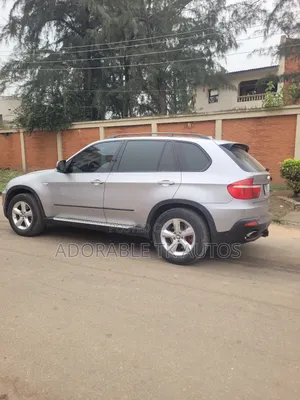 BMW X5 xDrive 48i AWD (4.8L 8cyl 6A) 2009 Silver