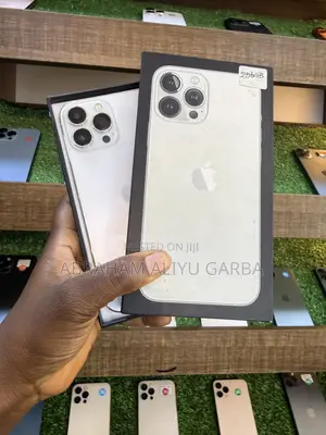 Apple iPhone 13 Pro Max 256 GB Silver