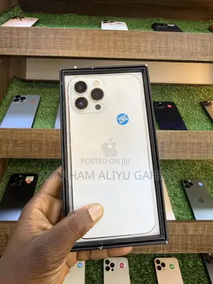 Apple iPhone 13 Pro Max 256 GB Silver