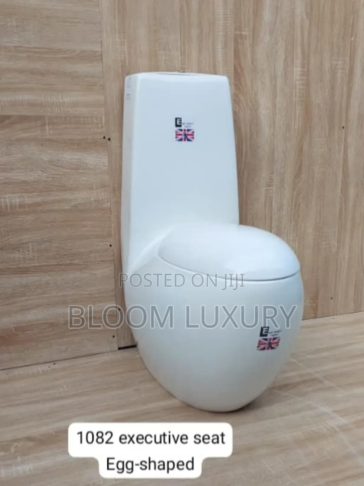 Egg Shaped Toilet
