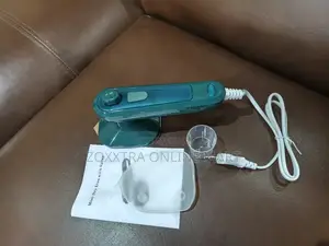 Mini Dry Iron With Spray