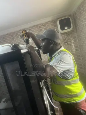 Professional Plumber