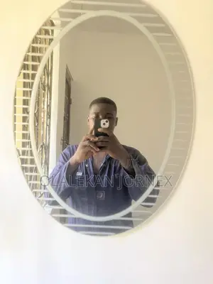 Professional Plumber