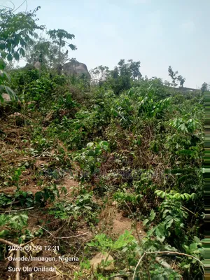A Plot of Land for Sale Built-Up Area of Odo Community,