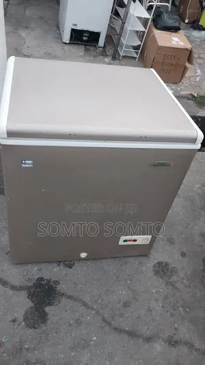 Haier Thermocool Deep Freezer