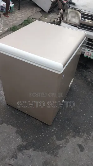 Haier Thermocool Deep Freezer