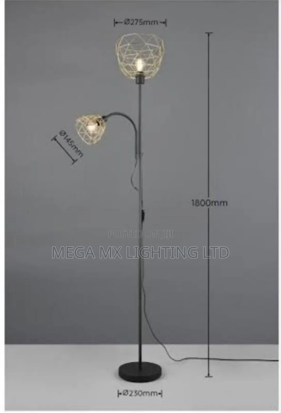 Decorative 2-Light Floor Lamp