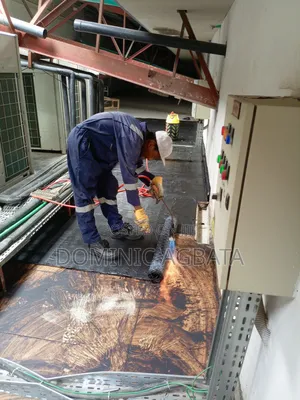 Noesis Roofing Waterproofing Expert