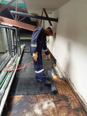 Noesis Roofing Waterproofing Expert