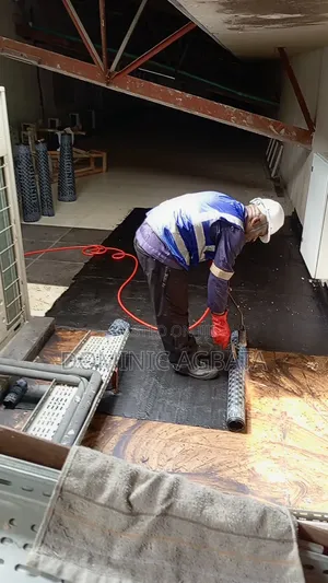 Noesis Roofing Waterproofing Expert