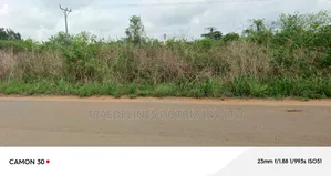 9and Half Plots at Ofada