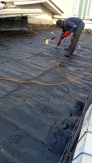 Enactivism Roof Waterproofing Genius