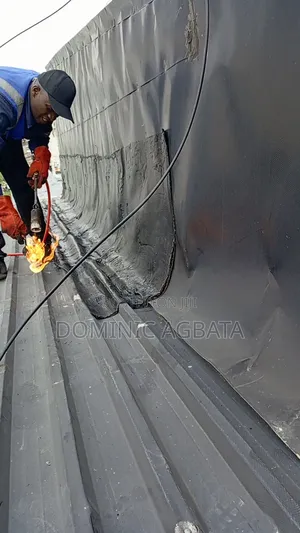 Rumination Leak Proofing Expert