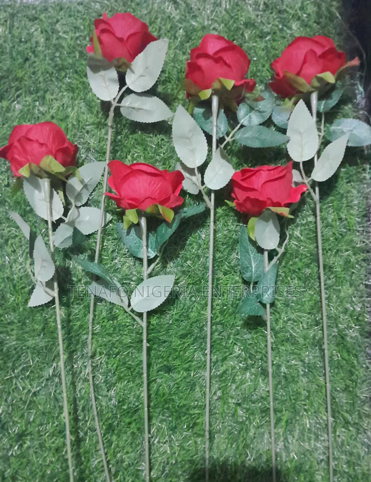 Red Roses