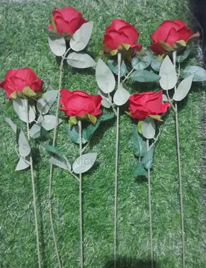 Red Roses