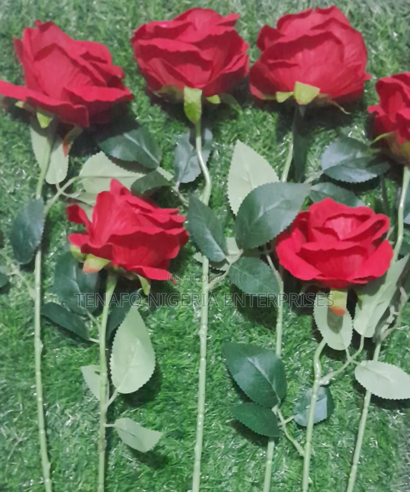 Red Roses