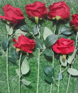 Red Roses