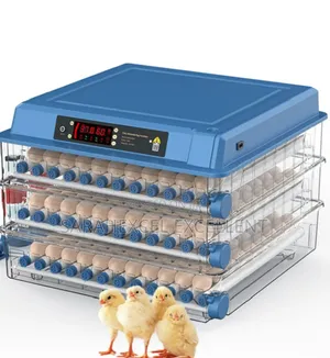 300 Egg Incubator