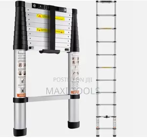 10 Steps Aluminum Telescopic Extension Ladder
